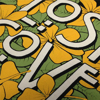 photo of  Lost Cove Festival t-shirt print