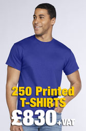 250 x Gildan Heavy Cotton™ T-Shirts Deal