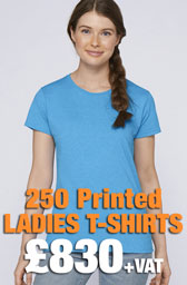 250 x Gildan Ladies Heavy Cotton™ T-Shirts Deal